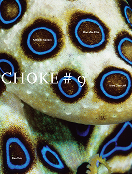 artichoke-cover-9